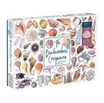 Beachcomber's Companion 1000 Piece Puzzle With Shaped Pieces