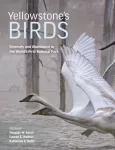Yellowstone&rsquo;s Birds
