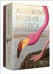Audubon's Birds of America