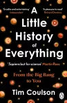 Little History of Everything, From the Big Bang to You