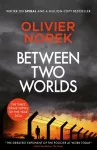 Between Two Worlds, THE TIMES Best Crime Novel of the Year 2024