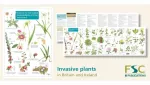 Guide to the non-native invasive plants of Britain and Ireland