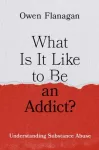 What Is It Like to Be an Addict?