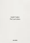 Last Letters (Letters About a Work)
