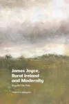James Joyce, Rural Ireland and Modernity