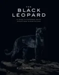 Black Leopard