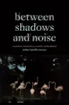 Between Shadows and Noise