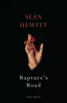 Rapture's Road, From the author of All Down Darkness Wide