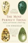 Most Perfect Thing, Inside (and Outside) a Bird&rsquo;s Egg