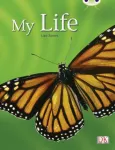 Bug Club Guided Non Fiction Year 1 Yellow C My Life