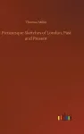 Picturesque Sketches of London, Past and Present