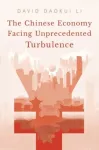 Chinese Economy Facing Unprecedented Turbulence