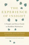Experience of Insight