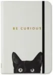 Sm Curious CAT Journal