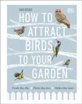 How to Attract Birds to Your Garden, Foods they like, plants they love, shelter they need