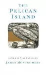 The Pelican Island (Illustrated Edition)
