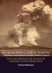 Micromorphological Analysis of Activity Areas Sealed by Vesuvius&rsquo; Avellino Eruption