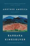 Another America/Otra America