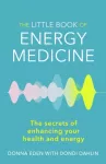The Little Book of Energy Medicine