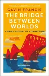 Bridge Between Worlds