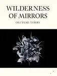 Wilderness of Mirrors