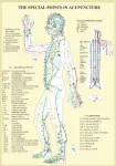Special Points in Acupunture -- A4