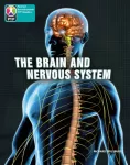 PYP L10 Brain and nervous system 6PK