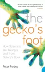 Gecko&rsquo;s Foot