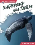 Leatherback Sea Turtles