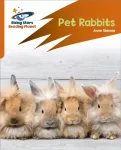 Reading Planet: Rocket Phonics &ndash; Target Practice &ndash; Pet Rabbits &ndash; Orange