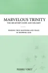Marvelous Trinity, the Believer's Hope and Delight