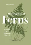 The Elegance of Ferns