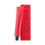 Schwarzkopf IGORA ROYAL #6-31-Cools 60 ml