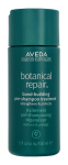 Aveda Botanical Repair Pre Shampoo