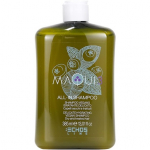 Echosline Maqui 3 All-In Shampoo &scaron;ampoon 385 ml