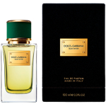 Dolce Gabbana Velvet Vetiver EDP 100 ml