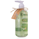 Accentra Botanic Spa Hand Soap 290 ml