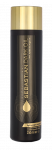 Sebastian Professional Dark Oil Lightweight Conditioner - Conditioner for shine and softness of hair 250 ml