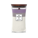 WoodWick Amethyst Sky Trilogy Vase Scented candle 609.5 g