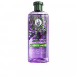 HERBAL ESSENCE LAVENDER anti-frizz shampoo 350 ml