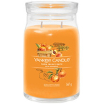 Farm Fresh Peach Signature Candle (farm fresh peach) 567 g