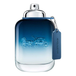 COACH BLUE eau de toilette spray 100 ml