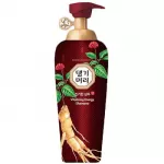 Daeng Gi Meo Ri Vitalizing Energy Shampoo &scaron;ampoon 500 ml