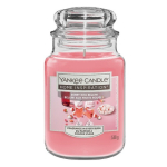 Home Inspiration Candle Berry Kiss Bellini 538 g