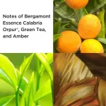 E.Arden Green Tea Giftset 100 ml