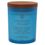 Chesapeake Bay Confidence & Freedom Candle - small tumbler 96 g