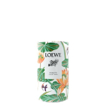 Loewe Paula's Ibiza Eclectic EDT 100 ml