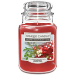 Home Inspiration Candle Mistletoe Charm 538 g