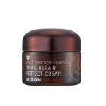 Mizon Face cream with snail secretion filtrate 60% for problematic skin (Snail Repair Perfect Cream) n&auml;okreem 50 ml