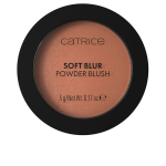Catrice SOFT BLUR powder blush p&otilde;sepuna #050-Born To Blonze 5 gr